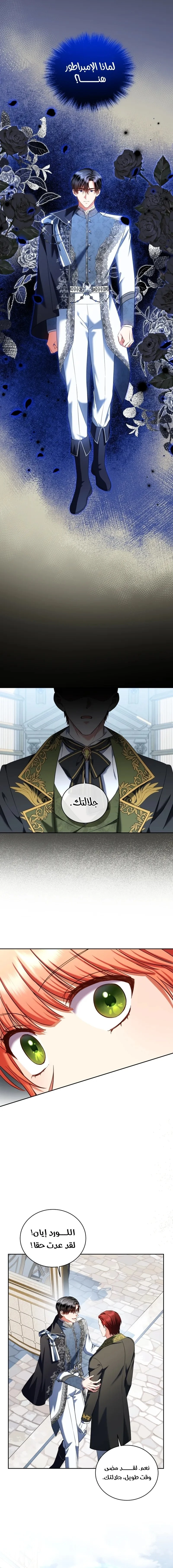 الصفحة 10