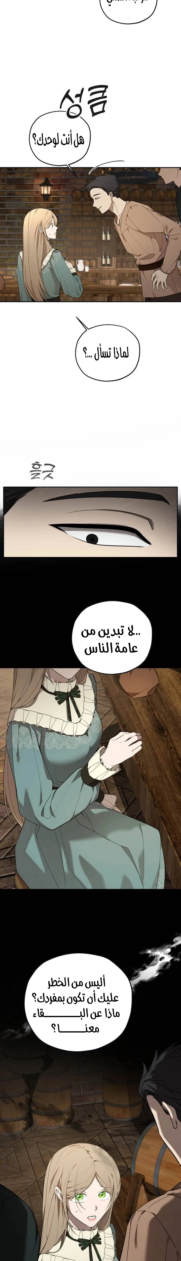 الصفحة 17