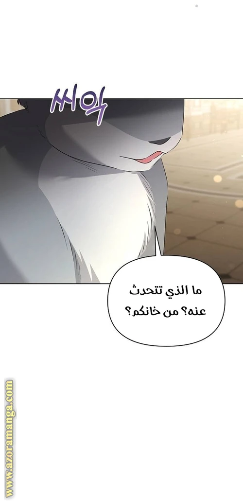 الصفحة 28