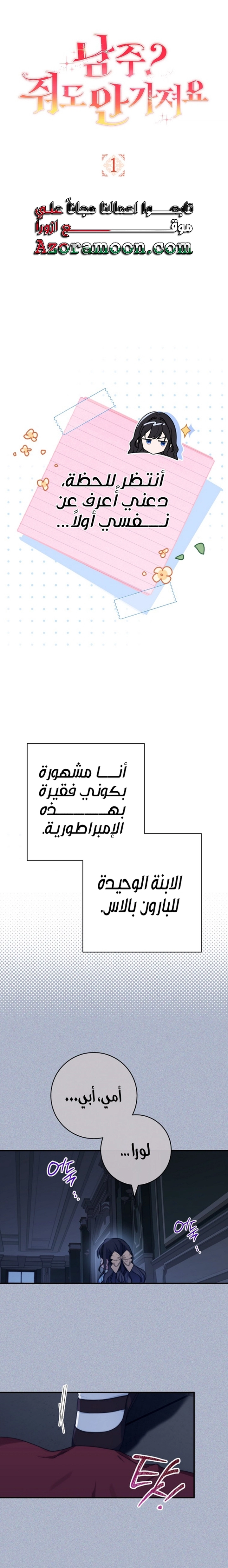 الصفحة 13