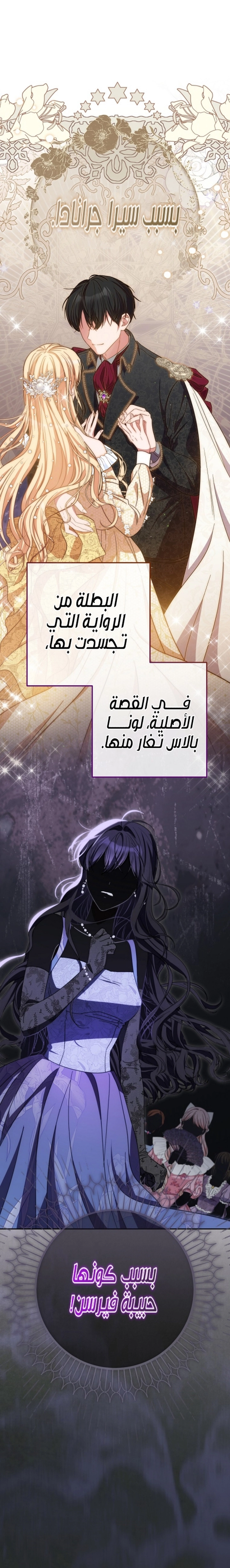 الصفحة 28