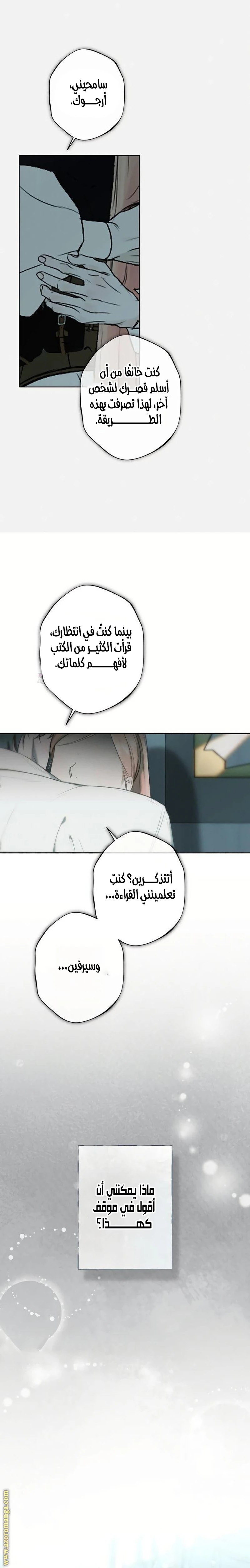 الصفحة 19
