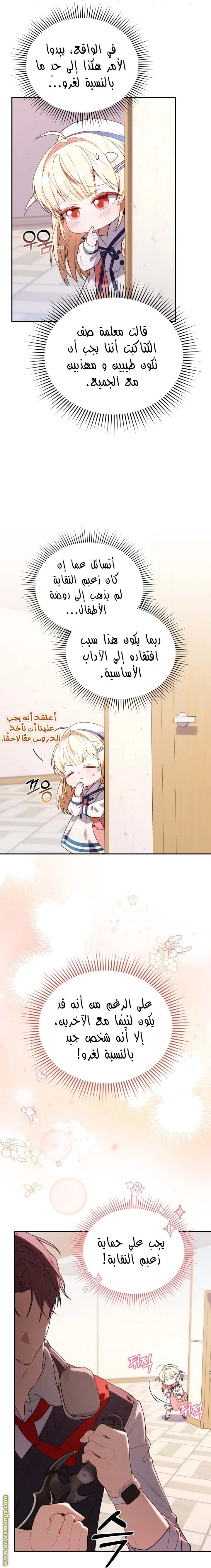 الصفحة 17