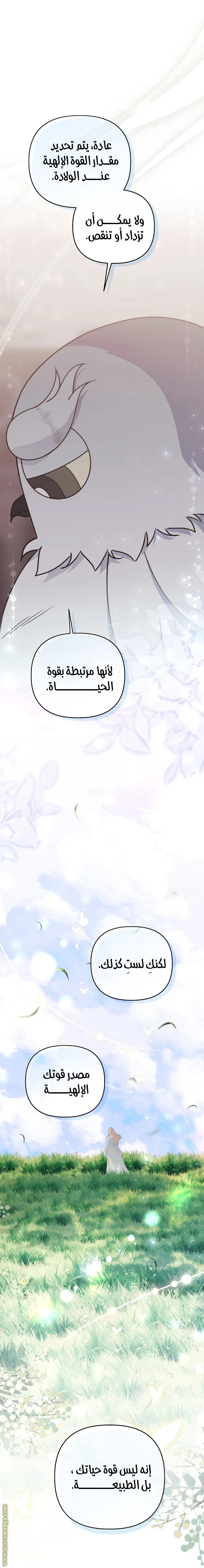 الصفحة 11