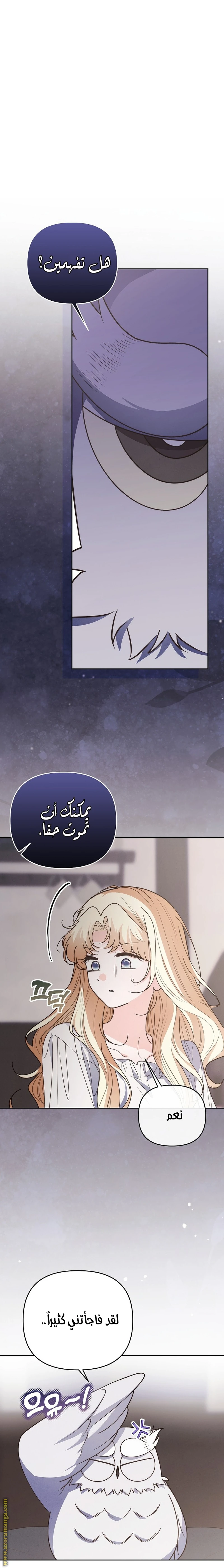 الصفحة 16
