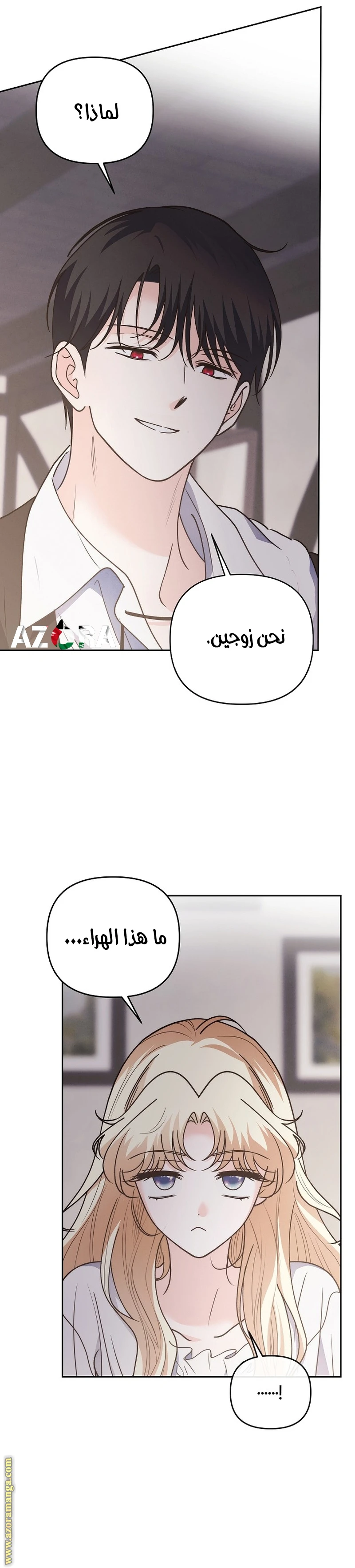الصفحة 19