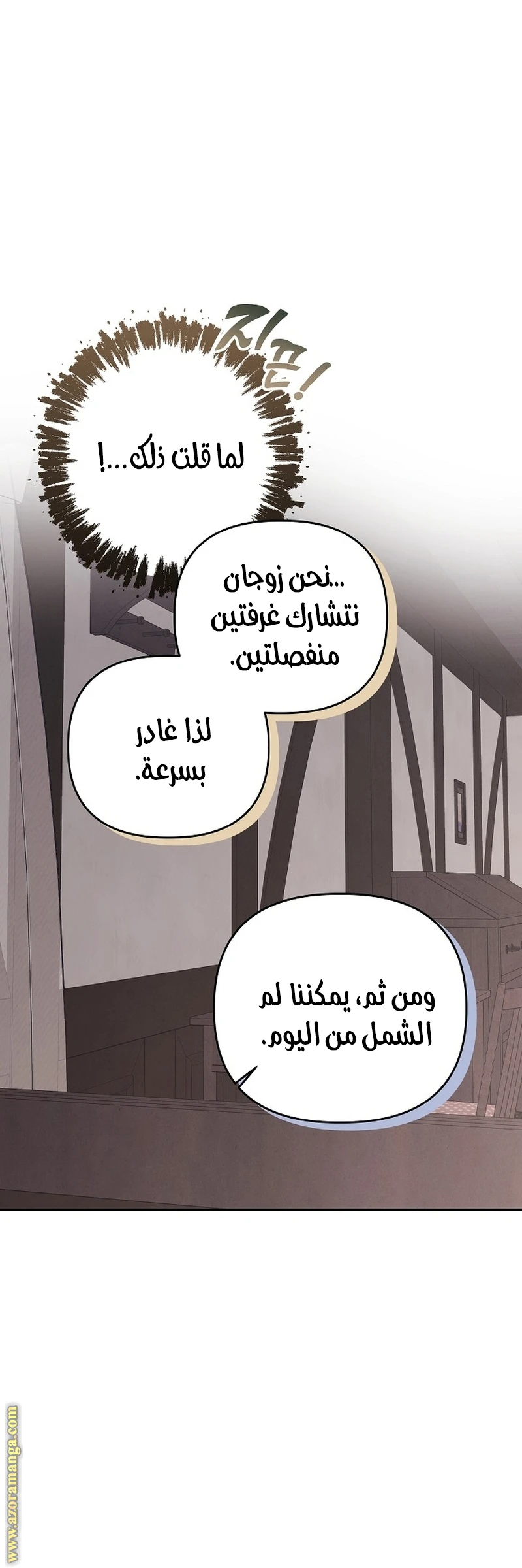 الصفحة 21