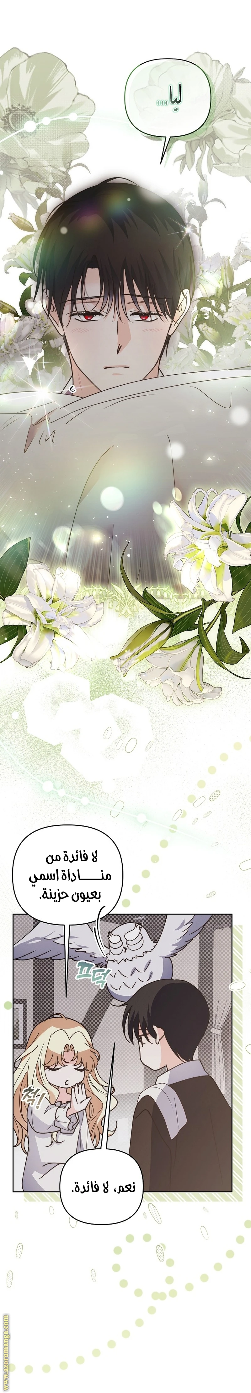 الصفحة 25