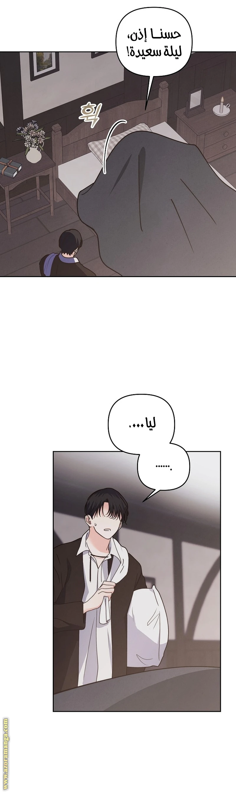 الصفحة 26