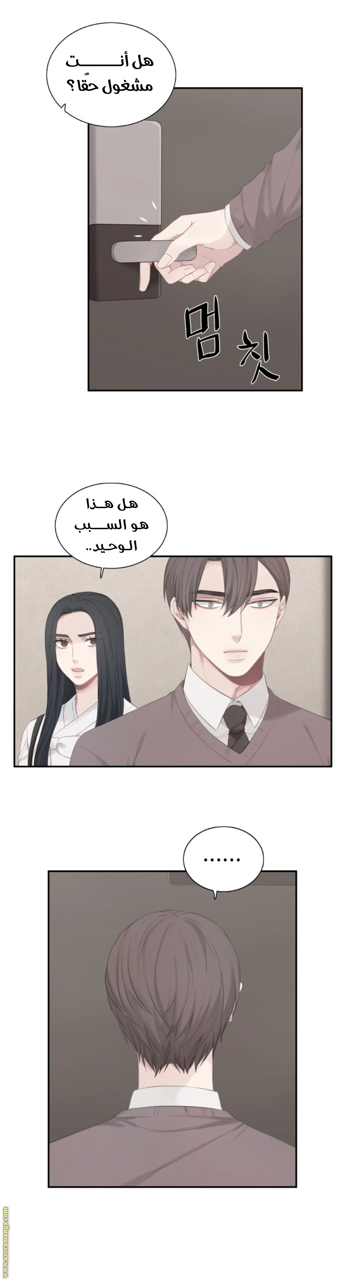 الصفحة 13