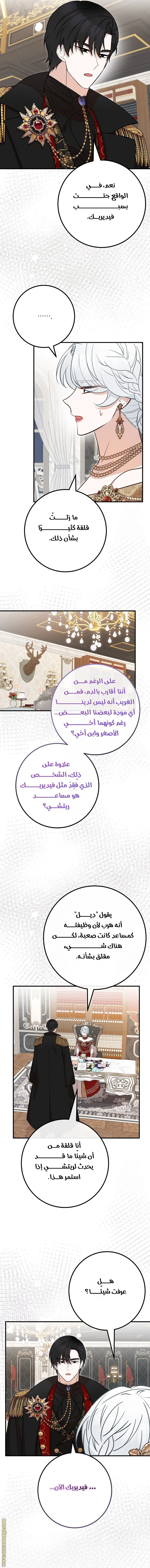 الصفحة 29