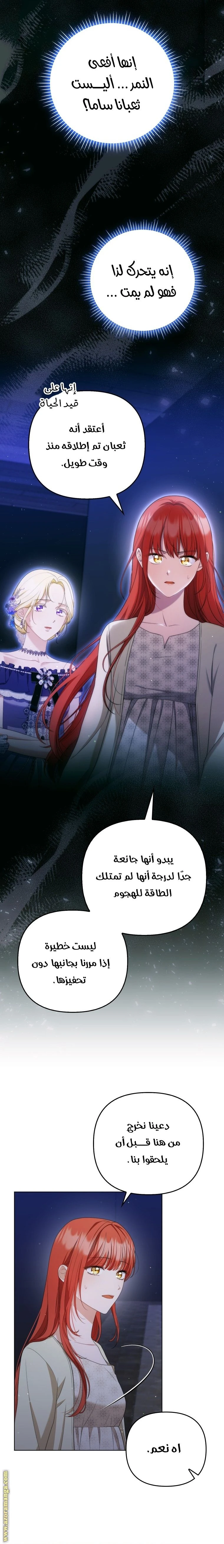 الصفحة 11