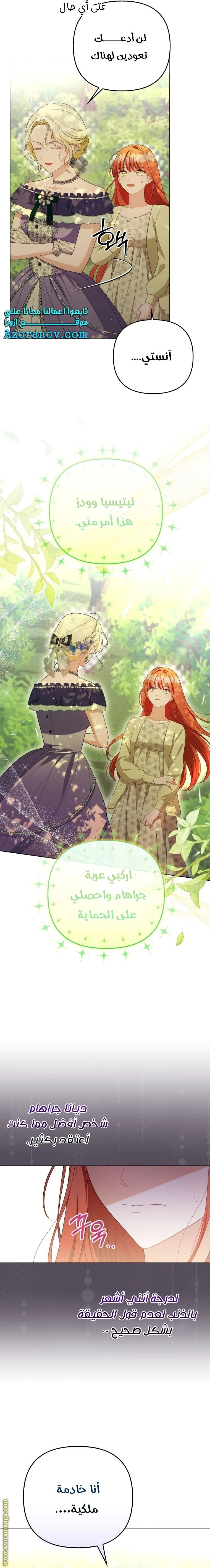 الصفحة 17