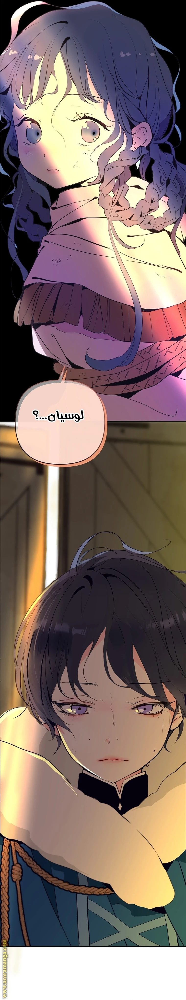 الصفحة 25
