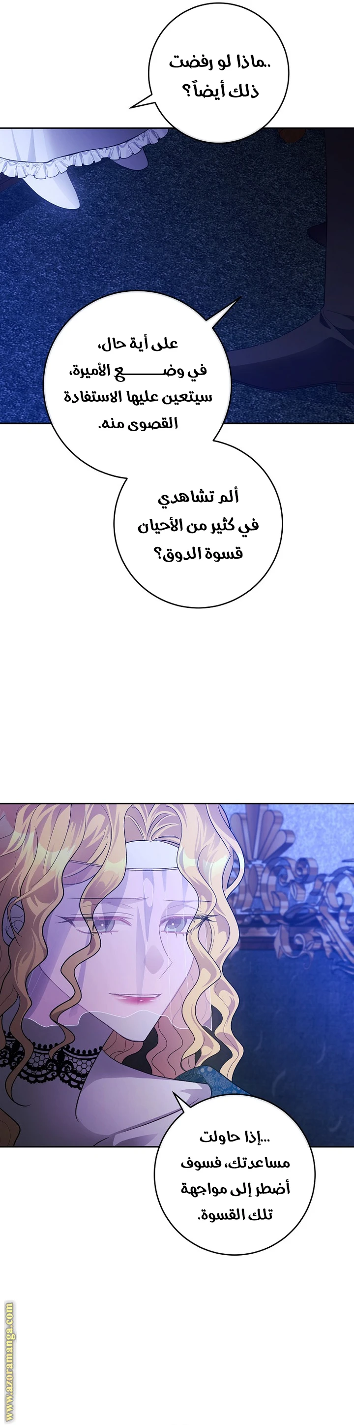 الصفحة 17