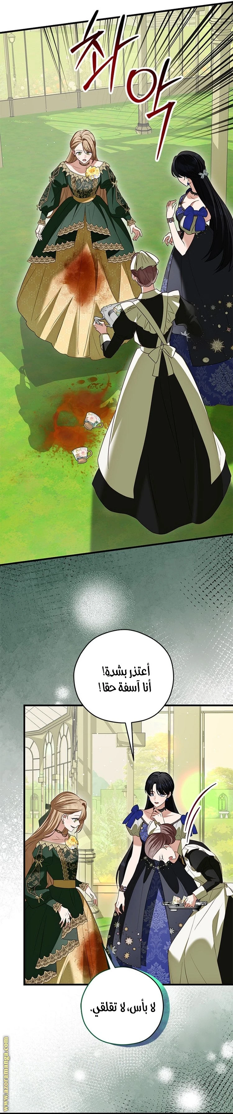 الصفحة 25