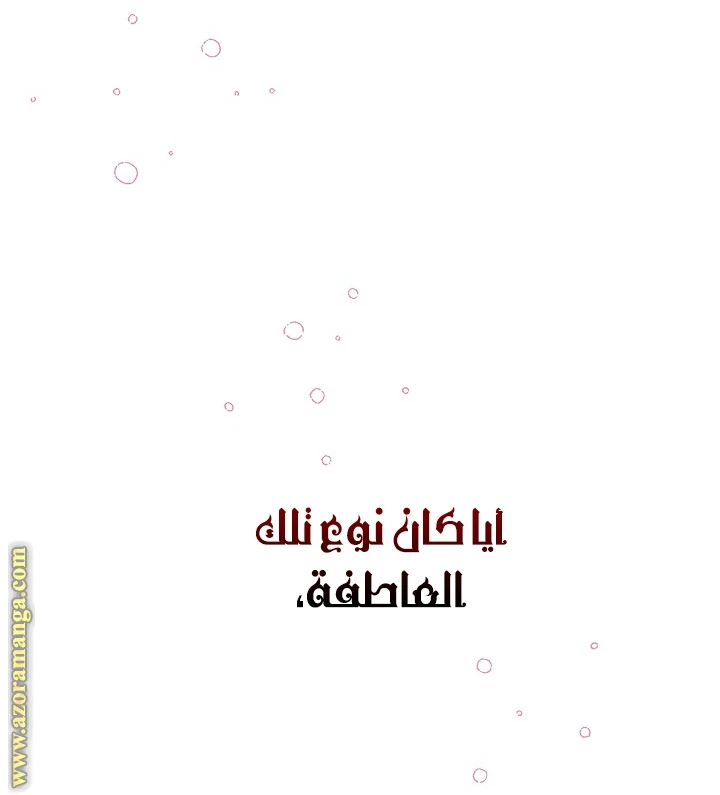 الصفحة 24