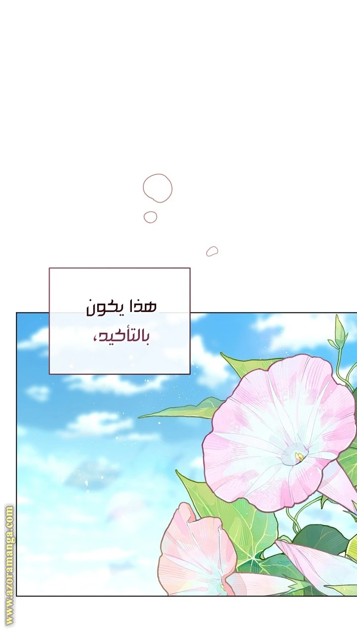 الصفحة 29