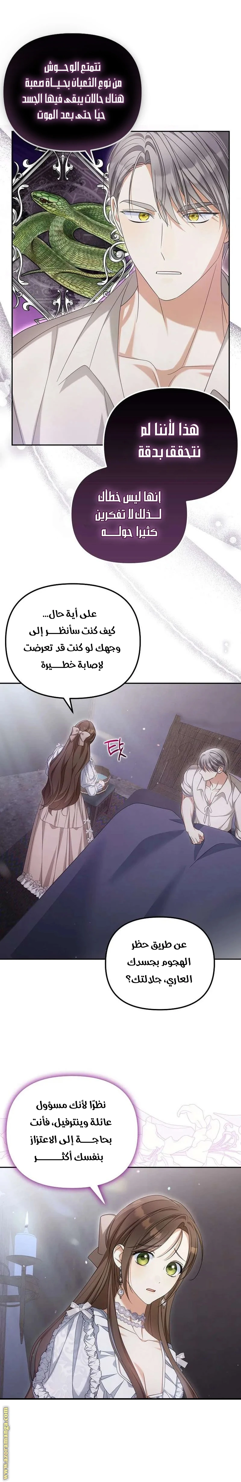 الصفحة 17