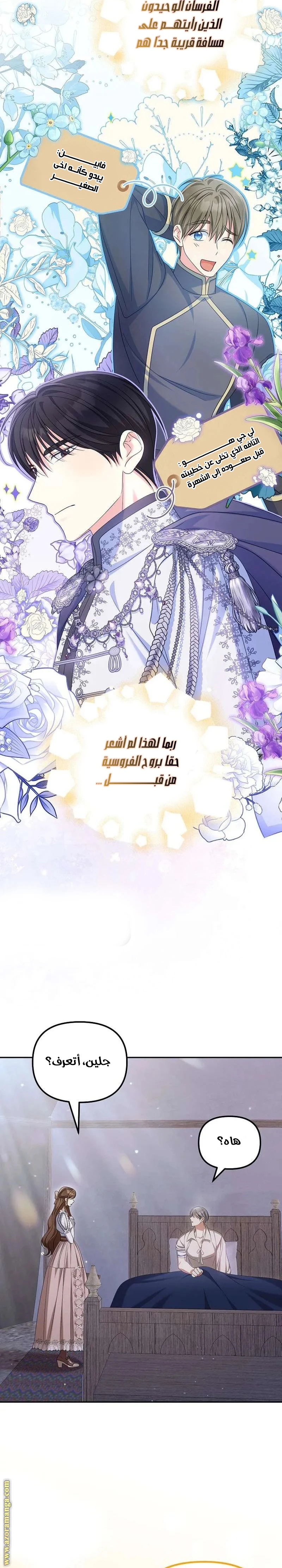 الصفحة 20