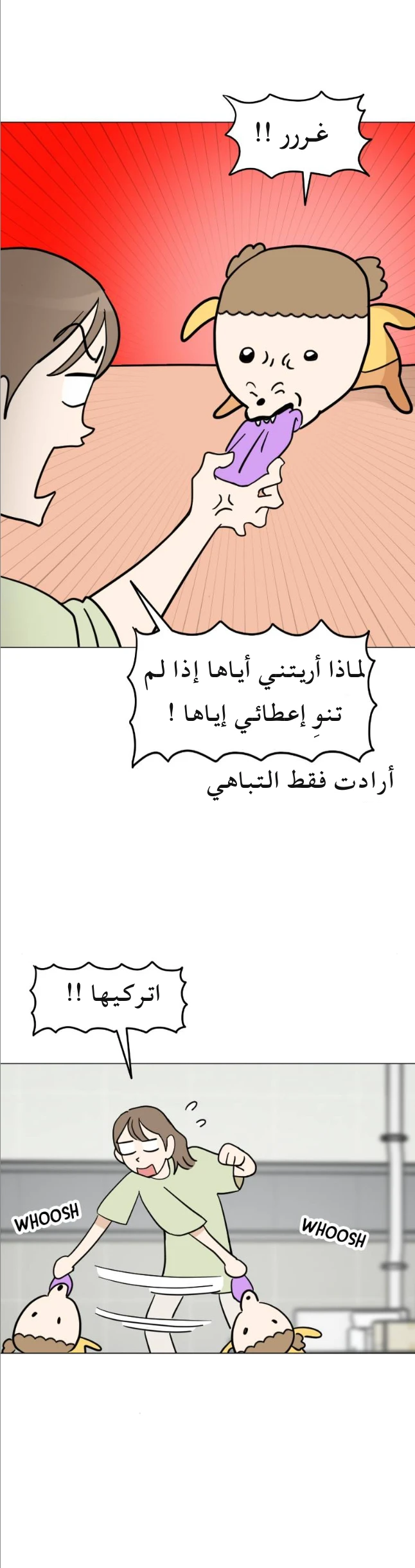 الصفحة 17