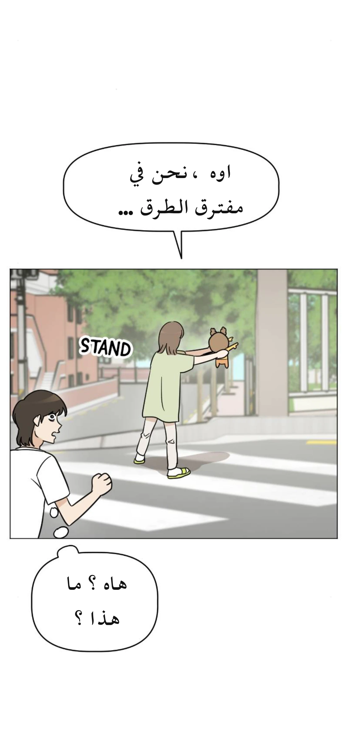 الصفحة 46