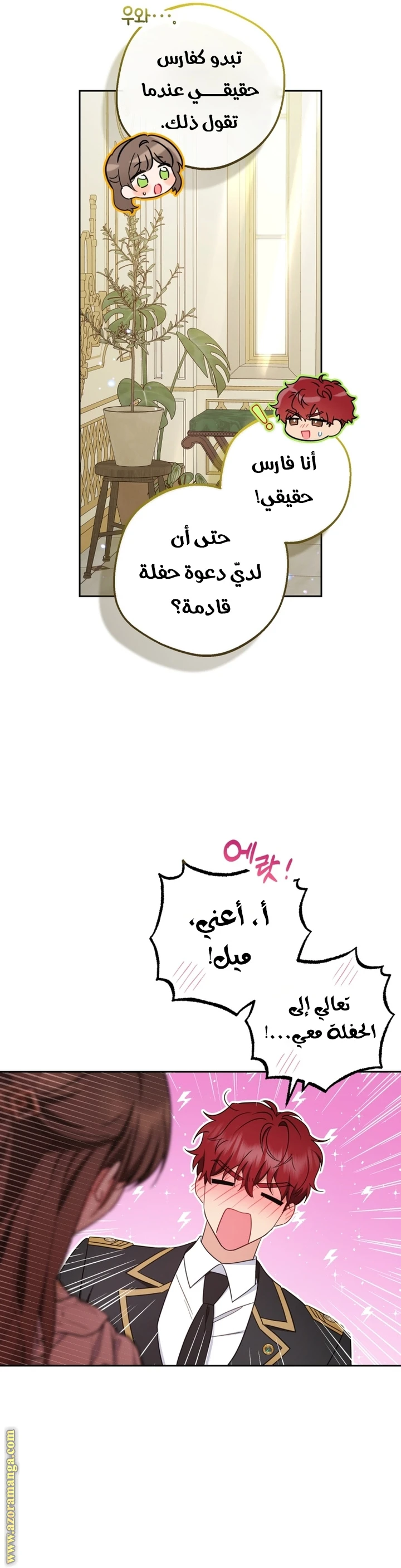الصفحة 21