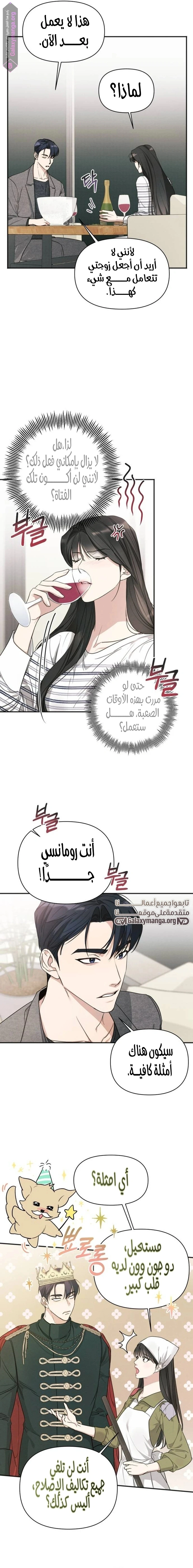 الصفحة 11