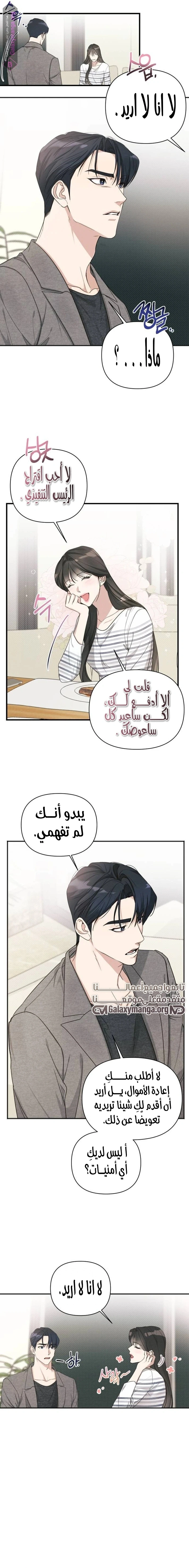 الصفحة 17