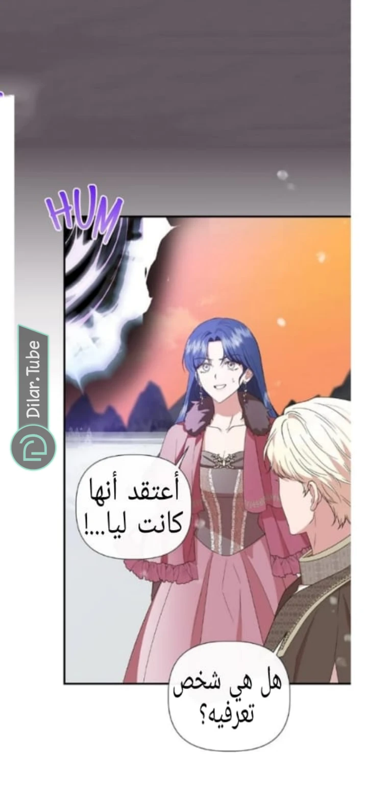 الصفحة 27