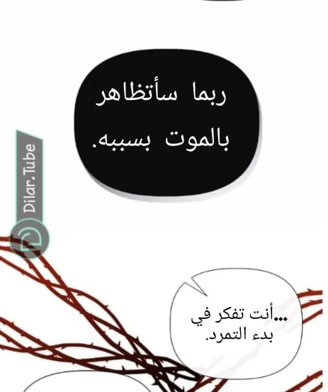 الصفحة 38