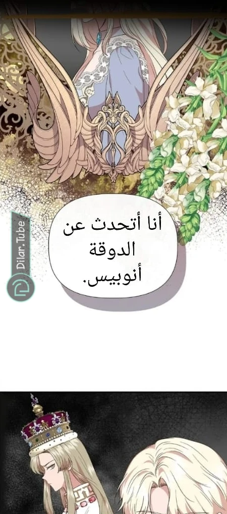 الصفحة 46