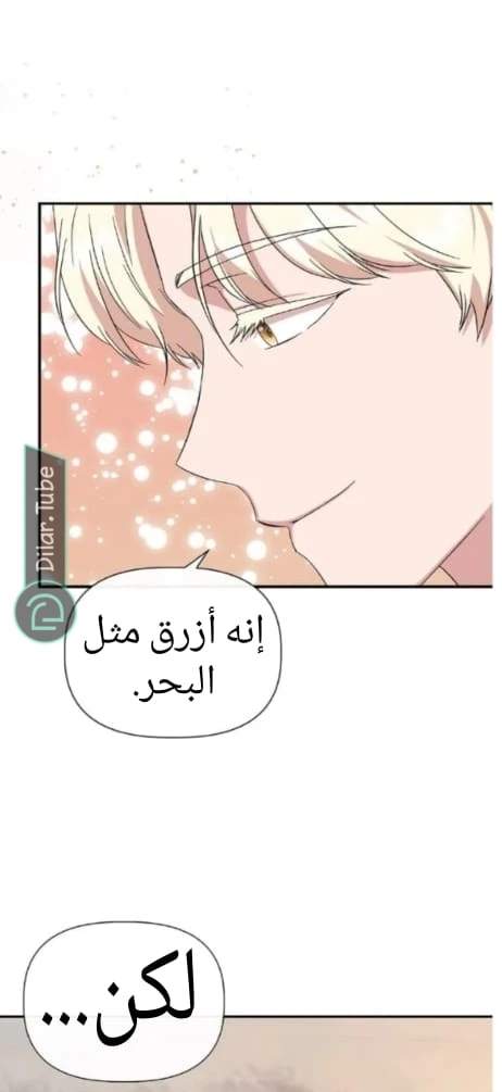 الصفحة 60