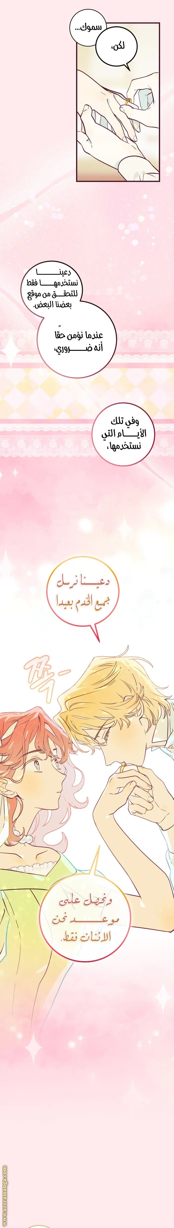 الصفحة 17