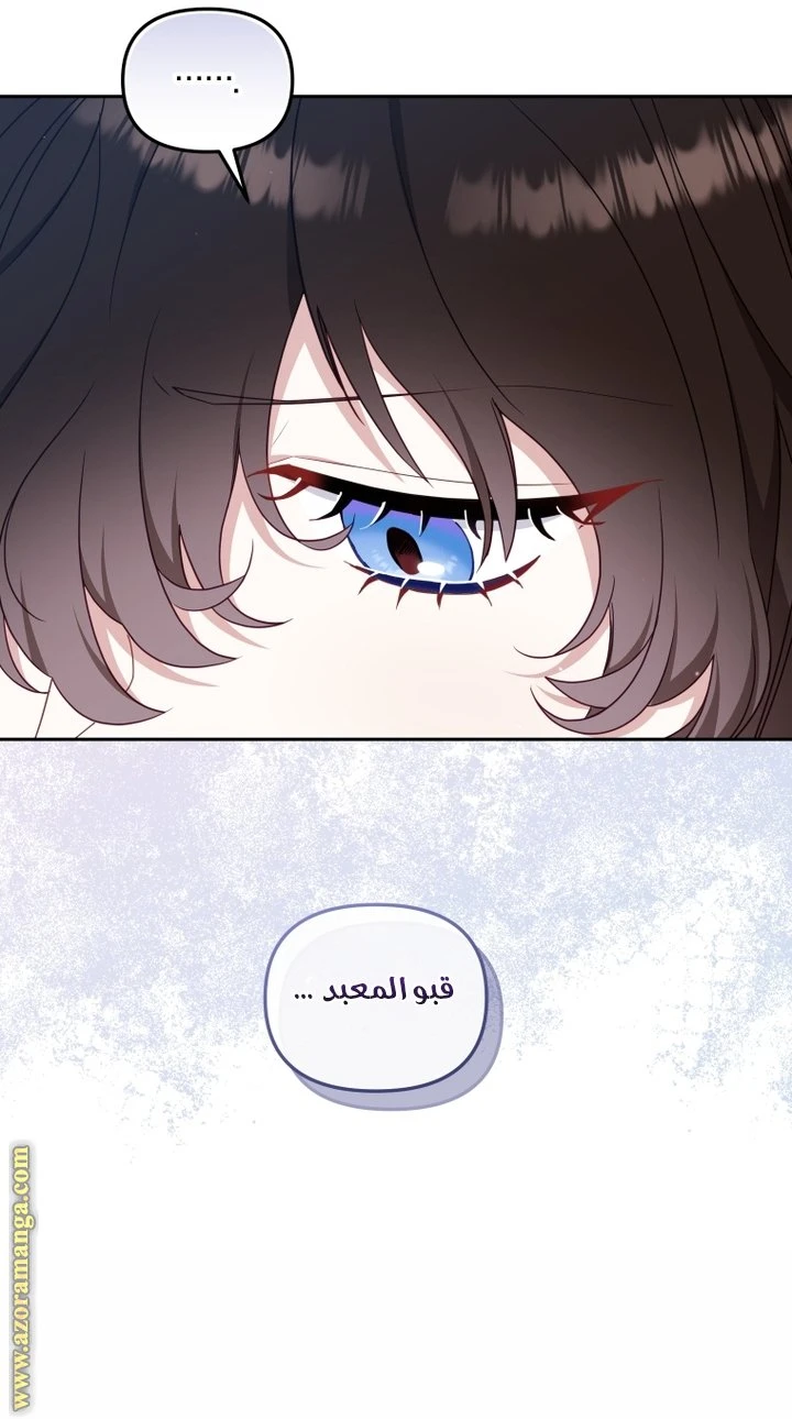 الصفحة 25