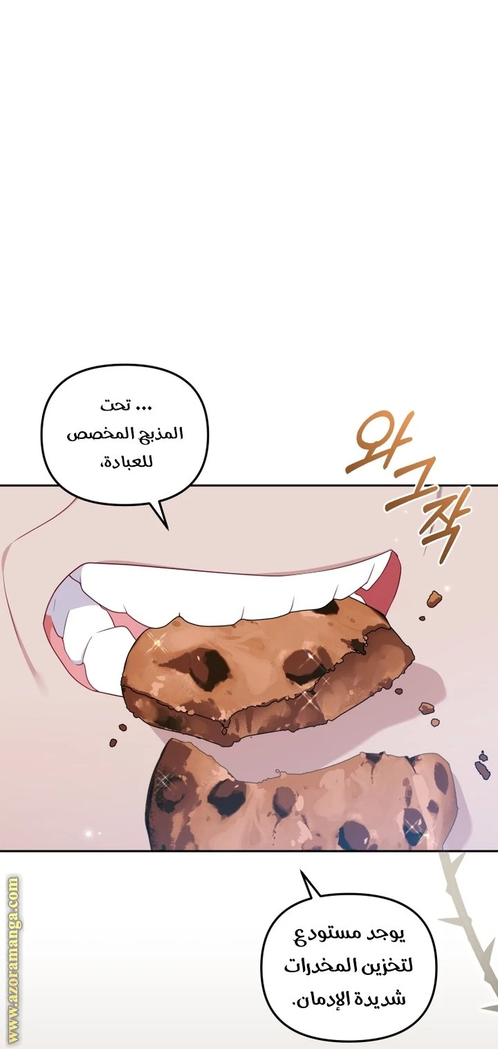 الصفحة 28