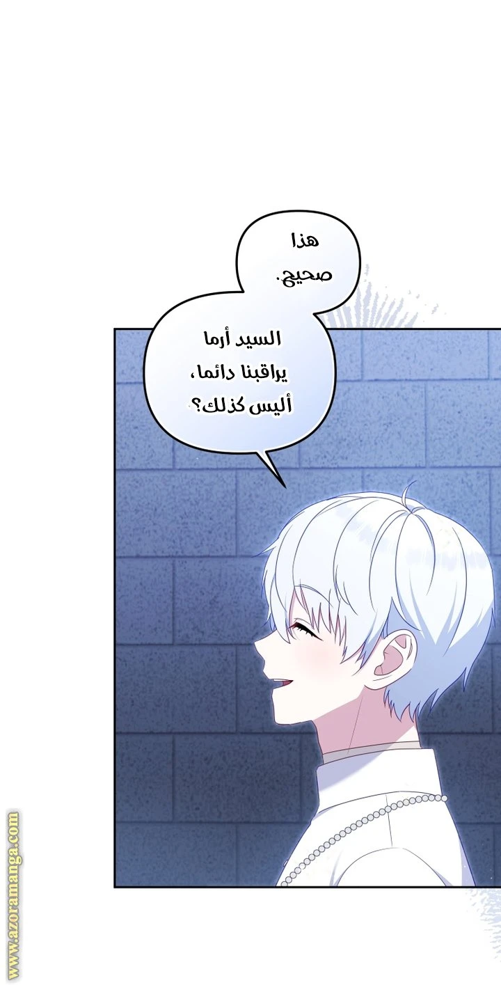 الصفحة 41