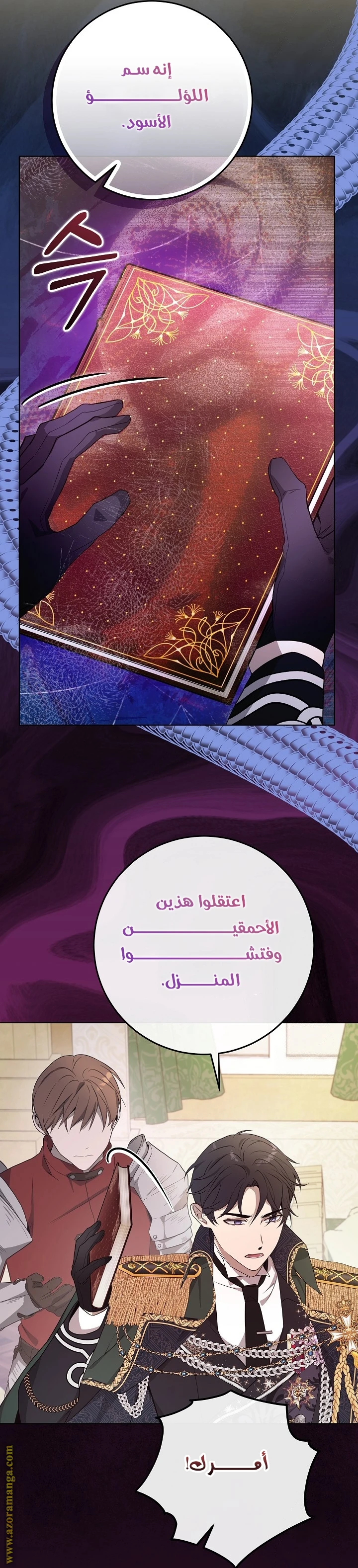 الصفحة 11