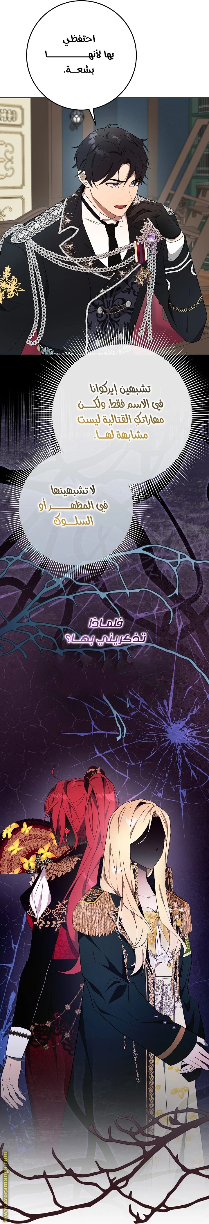 الصفحة 25