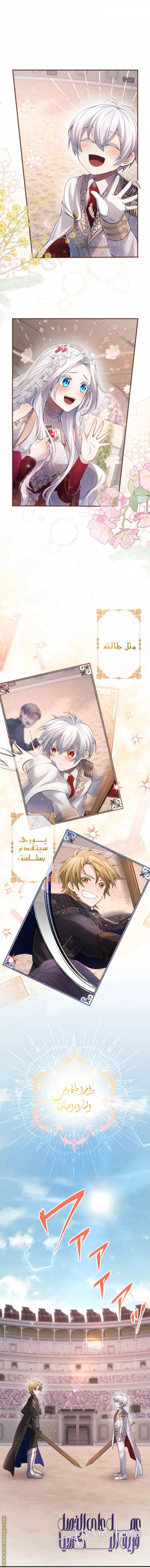 الصفحة 7