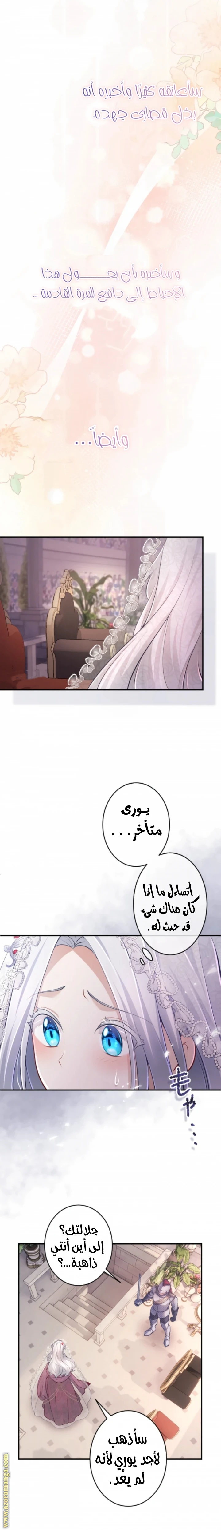 الصفحة 17