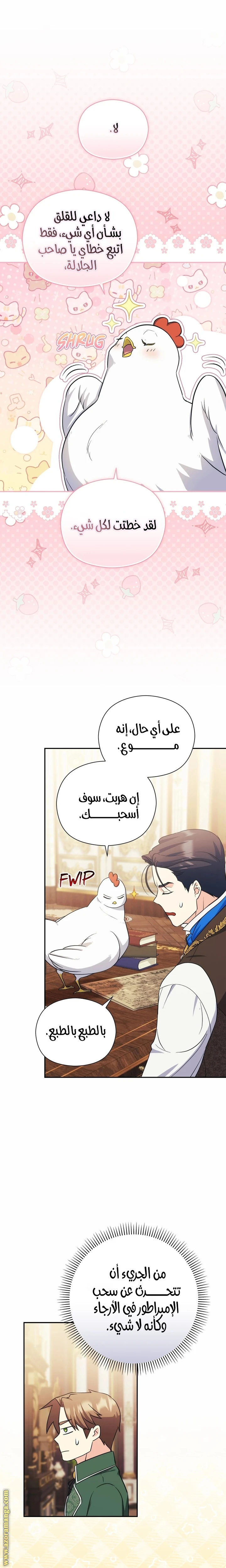 الصفحة 3