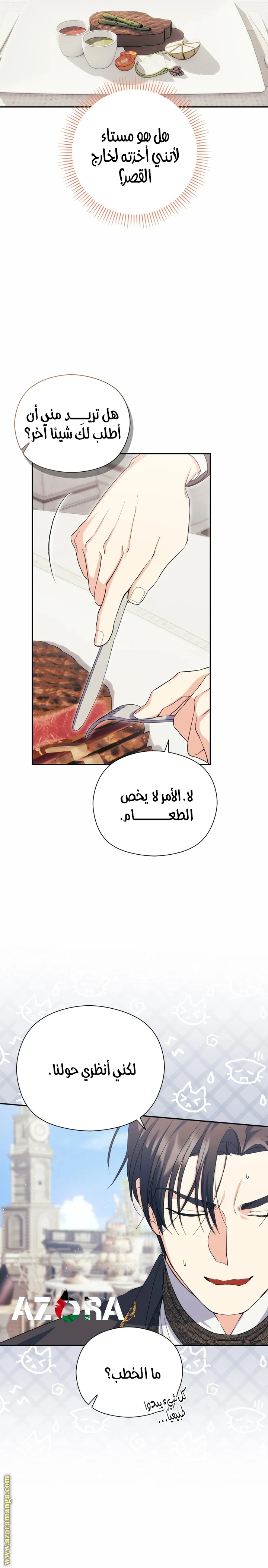 الصفحة 11