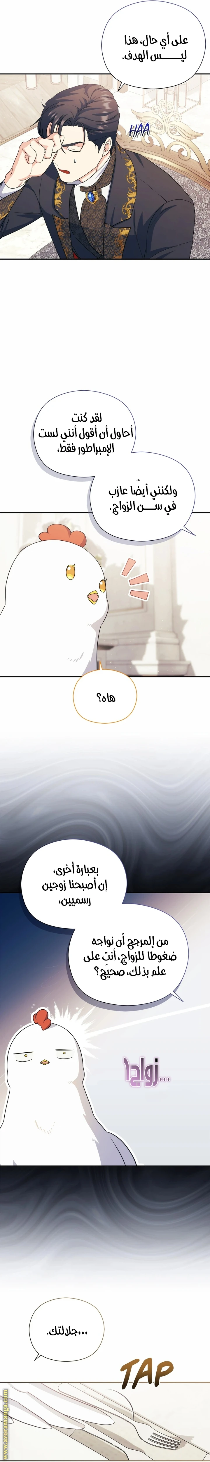 الصفحة 16