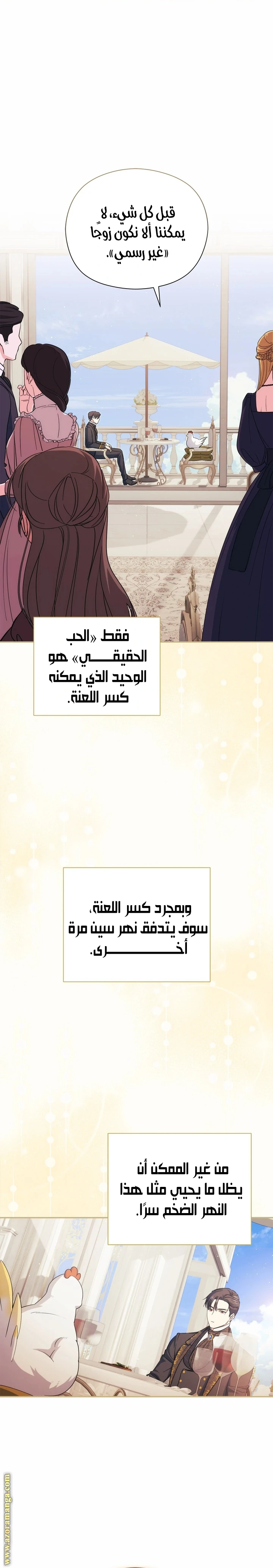 الصفحة 17