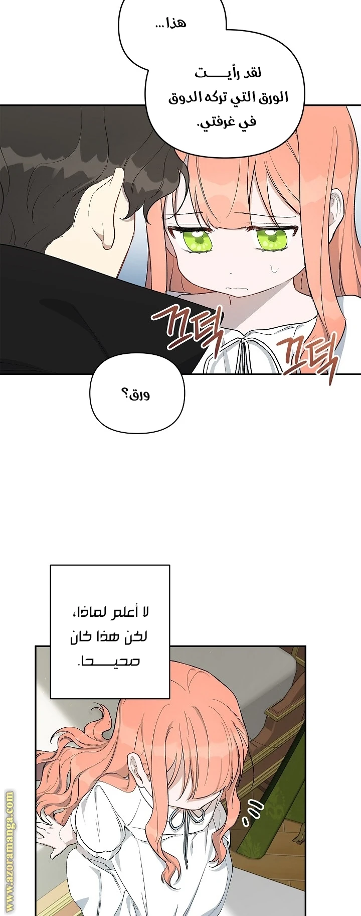 الصفحة 27