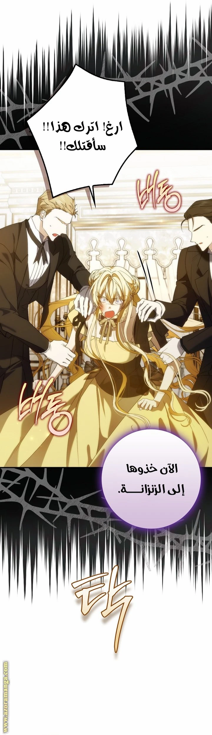 الصفحة 11