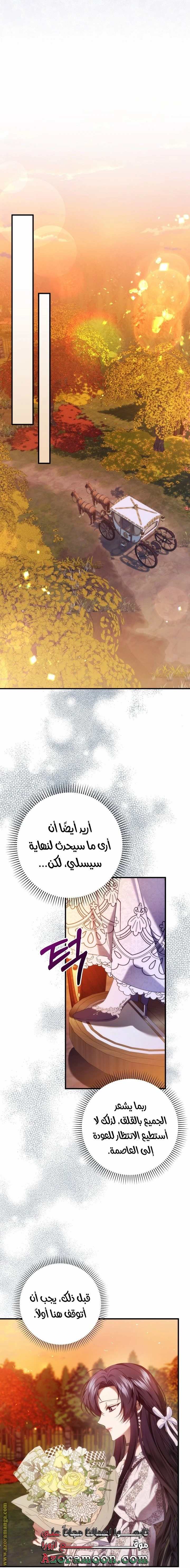 الصفحة 29