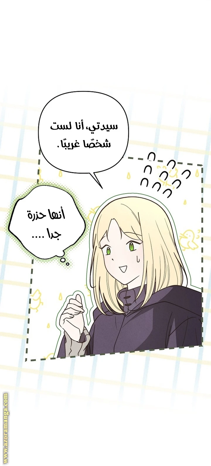 الصفحة 16