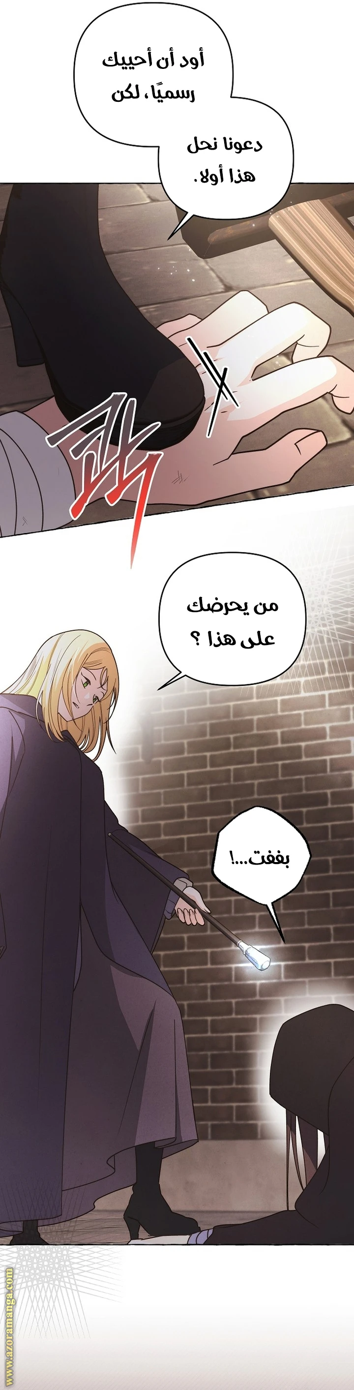 الصفحة 17